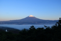 photo?id=3321&suffix=t