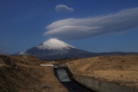 photo?id=3322&suffix=t