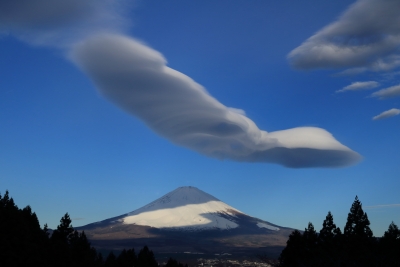 photo?id=3323&suffix=m
