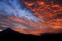 photo?id=3325&suffix=t