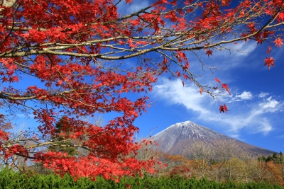 photo?id=3326&suffix=m
