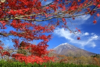 photo?id=3326&suffix=t