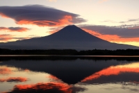 photo?id=3327&suffix=t