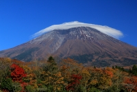 photo?id=3328&suffix=t