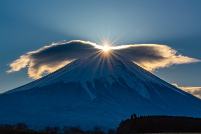 photo?id=3329&suffix=m