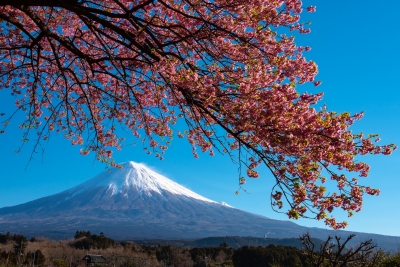 photo?id=3330&suffix=m