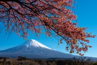 photo?id=3330&suffix=t