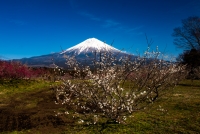 photo?id=3332&suffix=t