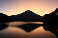 photo?id=3334&suffix=t