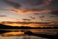 photo?id=3337&suffix=t