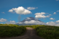 photo?id=3341&suffix=t