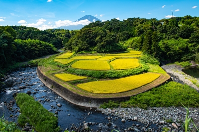 photo?id=3342&suffix=m
