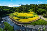 photo?id=3342&suffix=t