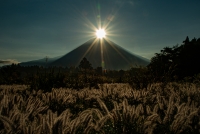 photo?id=3343&suffix=t