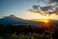 photo?id=3347&suffix=t