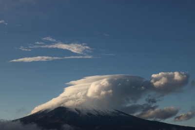 photo?id=3352&suffix=m