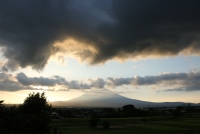 photo?id=3353&suffix=t