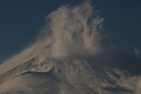 photo?id=3354&suffix=t