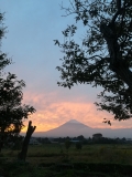 photo?id=3356&suffix=t