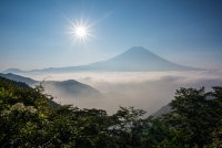 photo?id=3358&suffix=t