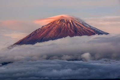 photo?id=3359&suffix=m