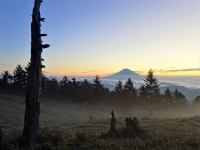 photo?id=3364&suffix=t