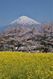 photo?id=3368&suffix=m