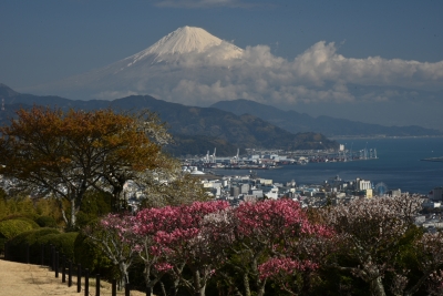 photo?id=3370&suffix=m