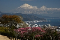 photo?id=3370&suffix=t