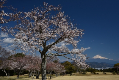photo?id=3371&suffix=m