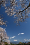 photo?id=3372&suffix=t