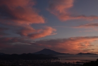 photo?id=3373&suffix=t