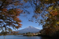 photo?id=3377&suffix=t