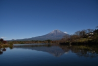 photo?id=3378&suffix=t