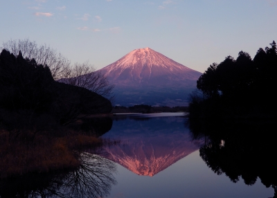 photo?id=3379&suffix=m