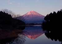photo?id=3379&suffix=t