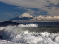 photo?id=3380&suffix=t