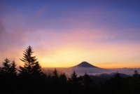 photo?id=3382&suffix=t