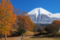 photo?id=3383&suffix=t
