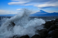 photo?id=3385&suffix=t