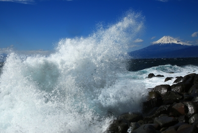 photo?id=3386&suffix=m