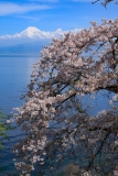 photo?id=3387&suffix=t