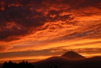 photo?id=3388&suffix=t
