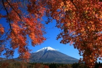 photo?id=3390&suffix=t