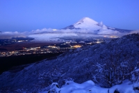 photo?id=3396&suffix=t