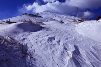 photo?id=3397&suffix=t