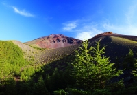 photo?id=3401&suffix=t