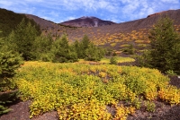 photo?id=3404&suffix=t