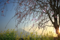 photo?id=3407&suffix=t