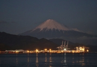 photo?id=3409&suffix=t